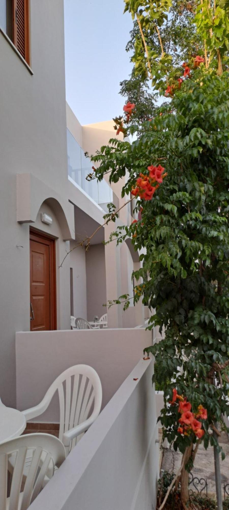Viena Rooms & Apartments Palaiochora Exterior photo